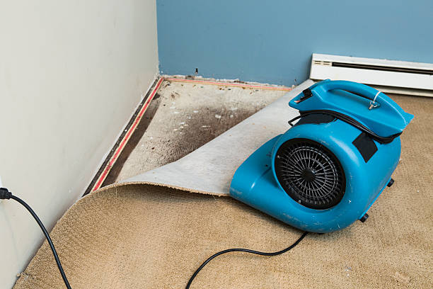 Water damage restoration mold remediation in Sparta, NC
